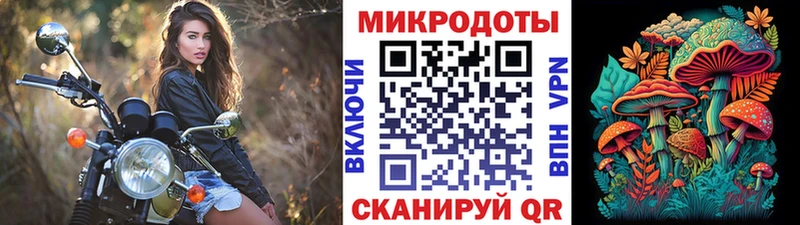 Псилоцибиновые грибы мухоморы  Удомля 